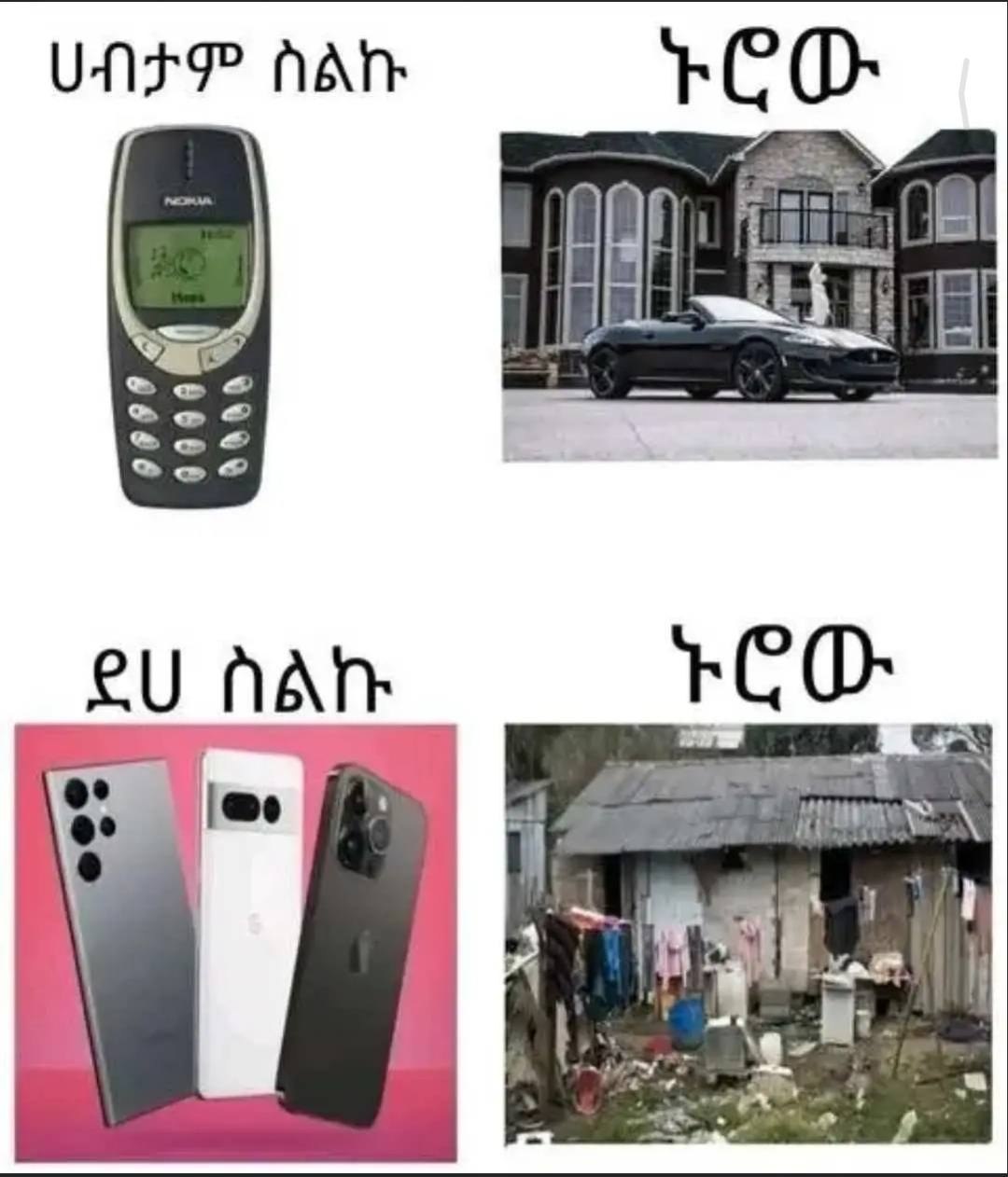 ሀብታም ስልኩ UNS? fat